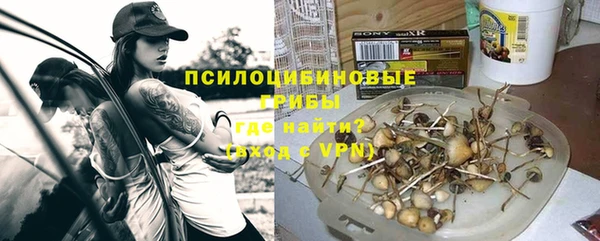 дживик Баксан