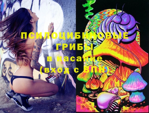 прущие крисы Балахна