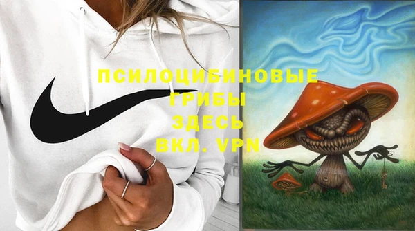 дживик Баксан