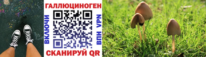 Купить закладки  Дагестанские Огни  Галлюциногенные грибы мухоморы 