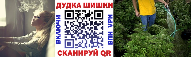 Купить где  Дагестанские Огни  Шишки марихуана марихуана 